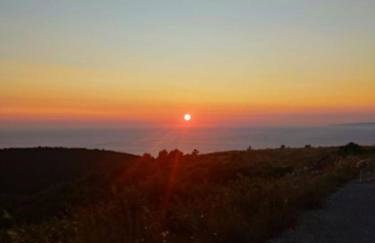 Ξενώνας "Alexandra's Coffee House" - Foto 66