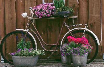 Tulip apartment with your private entrance - Foto 10