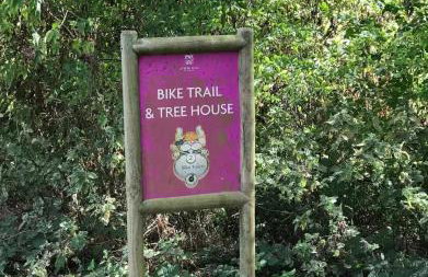 Carp's Rise Cottage - Foto 21