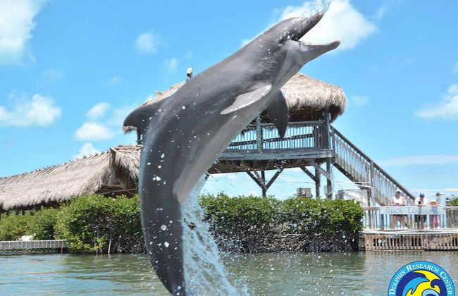 Blue Pearl New Waterfront Haven with Heated Pool ,70 Foot Dock, and More! - Foto 117