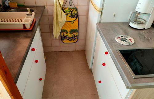 Corbier centre Vostok 32m2 balcon Sud vue pistes Classé Tourisme - Foto 11