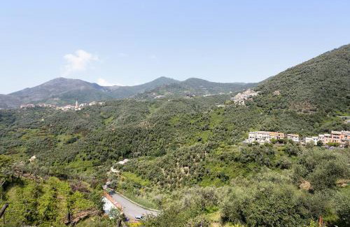 Green Cactus House - Foto 23