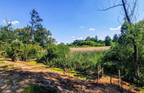 Cozy Home In Wilczyce - Foto 8