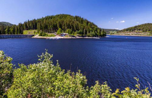 Haus Schluchseeblick - Foto 15