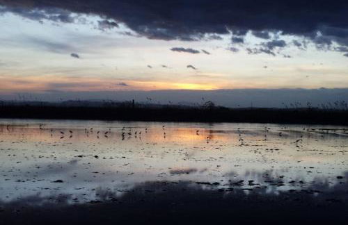 Beachfront House, Valencia, Wifi, Paddle Surf Board, Incredible Views - Foto 38