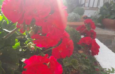 Dionysios Studios - Foto 11