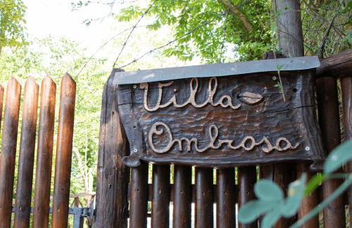 DOLF - Villa Ombrosa - Foto 39