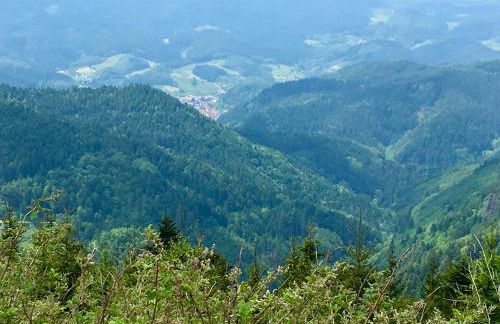 Blackforest Apartment - Foto 31