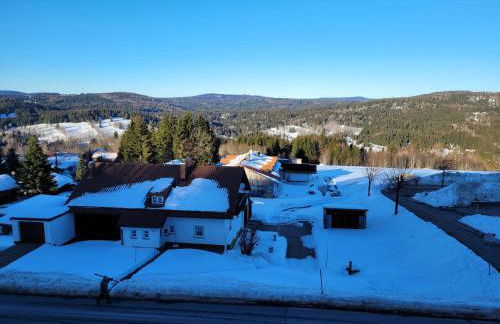 Mitterdorf - apartmán Almberg - Foto 16