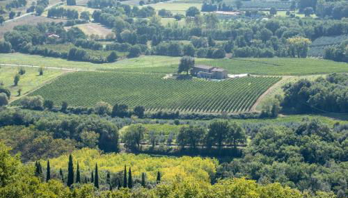 Podere La Doccia - Foto 3, Garden