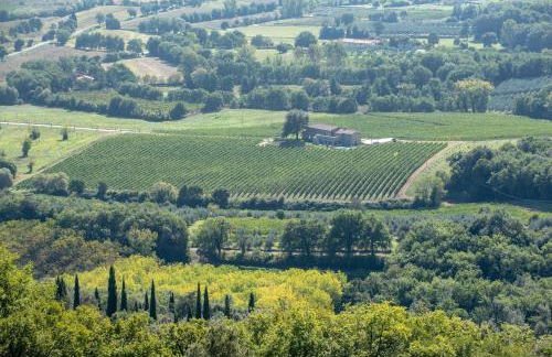 Podere La Doccia - Foto 3