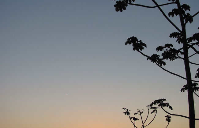 Sítio Rodamonte - Foto 31