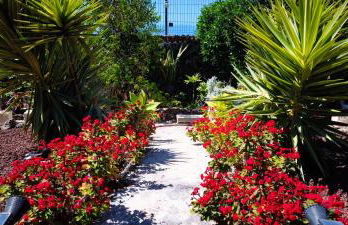 Villa con increíbles vistas al océano y la Gomera - Foto 35