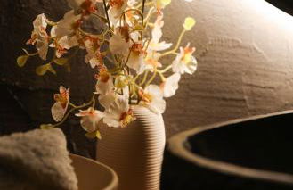 Suite d exception avec spa privatif - Foto 5