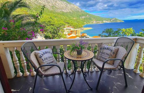 ĆOSIĆ APARTMANI IGRANE - Photo 1