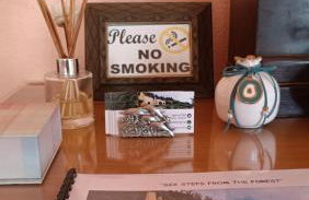 Six Steps From The Forest - Photo 15