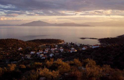 Alexander's - Foto 38