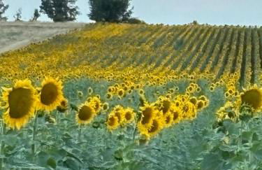 Casa rural ‘’La Nuestra’’ - Foto 35