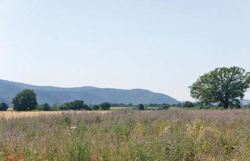 Casa Di Caccia - Foto 24