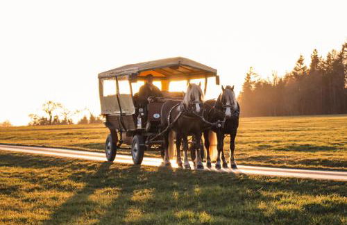 s' Kännele Ferienwohnungen - Foto 30