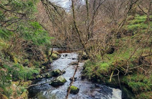 Bespoke Luxury Self Catering Dog Friendly Accommodation - Foto 31