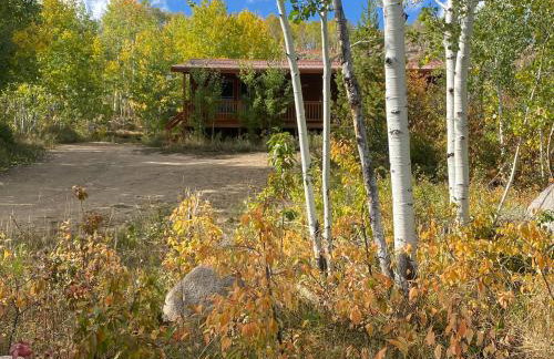 Whistle Pig Retreat at 22 West Cabins and Recreation - Foto 54