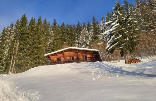 Chalet d'alpage avec vue incroyable - Foto 51