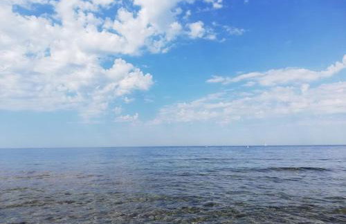 Apartments Oleander Lovrečica-residence with pool - Photo 67