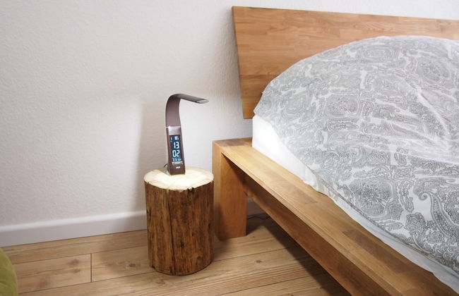 Apartment Harzgrün 2 - Foto 2