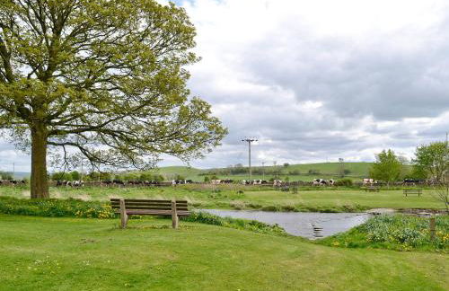 Mickle Hill Mews - Foto 12