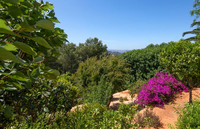 Los Buhitos - Foto 37