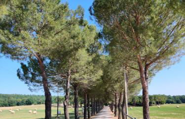 Fattoria Agriturismo Nerbona - Foto 30