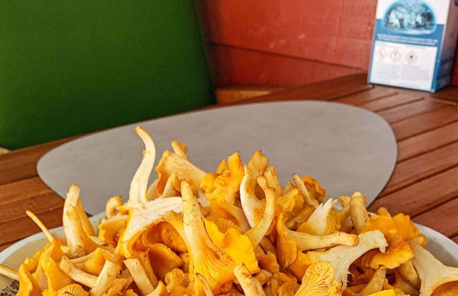 5 Person Holiday Home in Forsbacka-by Traum - Photo 4