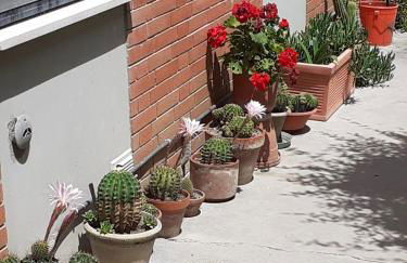 la sterlizia - Foto 9