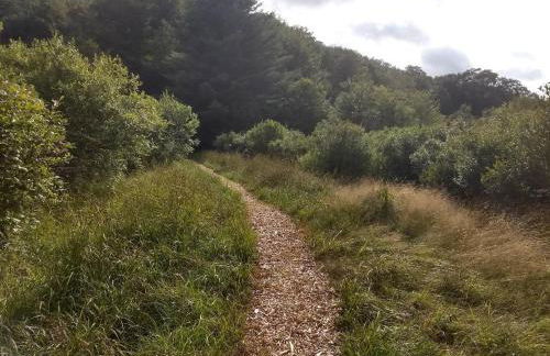 Catskills tiny house cabin - Foto 9