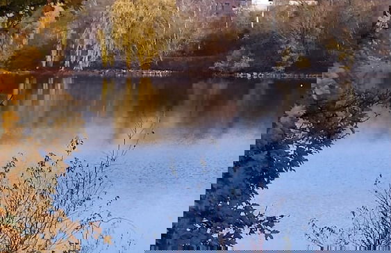 Résidence Carouge - Foto 27