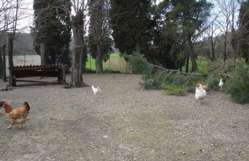 Casa Vacanze Podere San Giusto Volterra - Foto 55