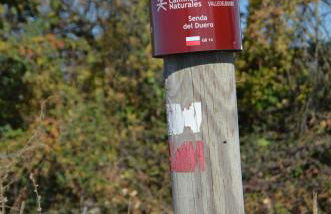 Casa Alfredo - Foto 42