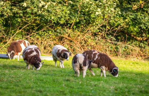 Kendal - Summerlands Hall Gothic Apartment - Foto 38
