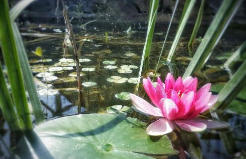 Agriturismo Santa Caterina - Foto 11