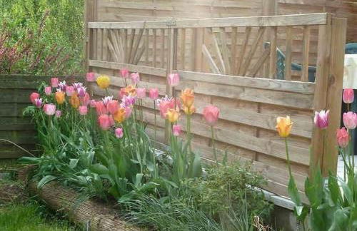 Apartment Lotti by Interhome - Foto 13