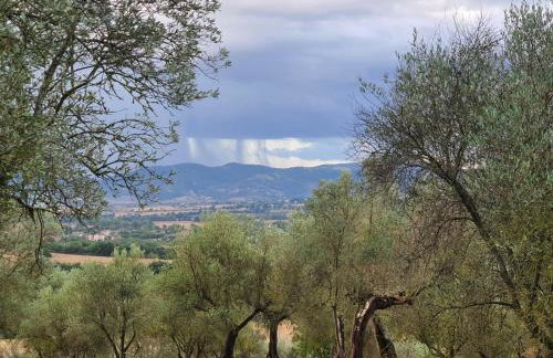 Villa in Agello - Photo 36