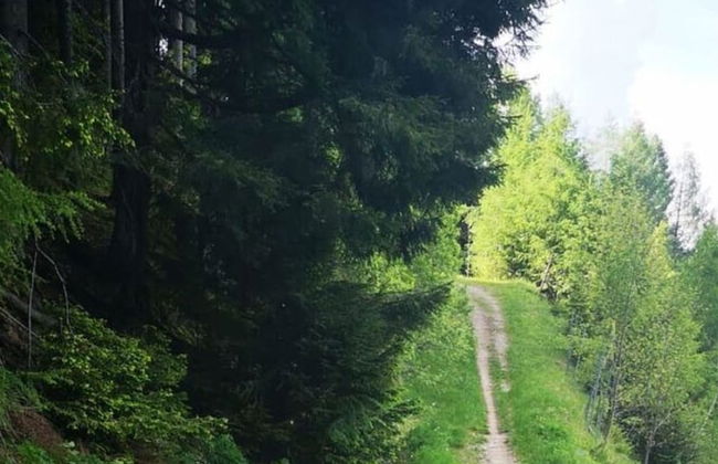 Holiday Home Anna Comfortable Vacation Home - Foto 18