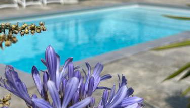 LA POINTE D’ASPRETTO - Photo 2, sunbed