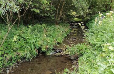 W dolinie Huty - Foto 27