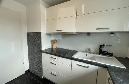 Erlachoase - Photo 5