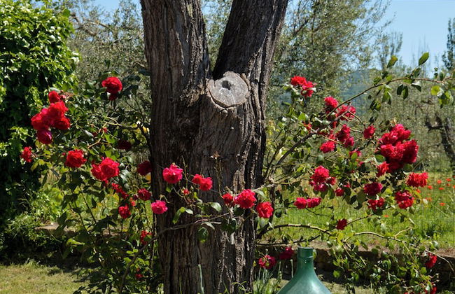 La Fraschetta - Foto 44