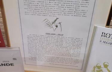 Penedo Grande suítes T2 dúplex - Foto 11