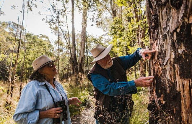 Canberra Wildlife Watching Tour - Photo 8