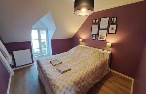 Les lits de la Loire - Photo 14